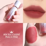 #04 Succulent Peach Pink